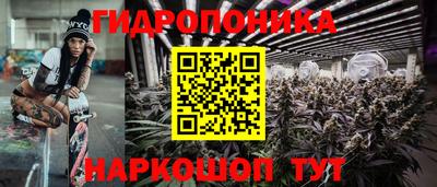 тгк Гусев
