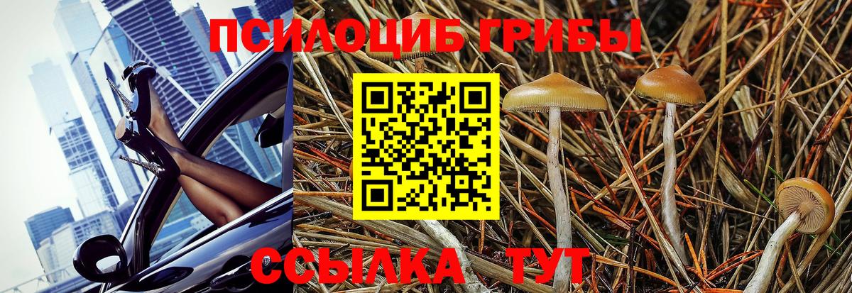 Галлюциногенные грибы MAGIC MUSHROOMS Нефтекумск