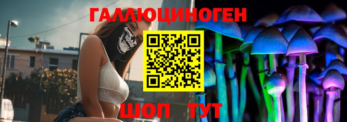 Псилоцибиновые грибы Cubensis  Вход с VPN  Нефтекумск  Псилоцибиновые грибы ЛСД 